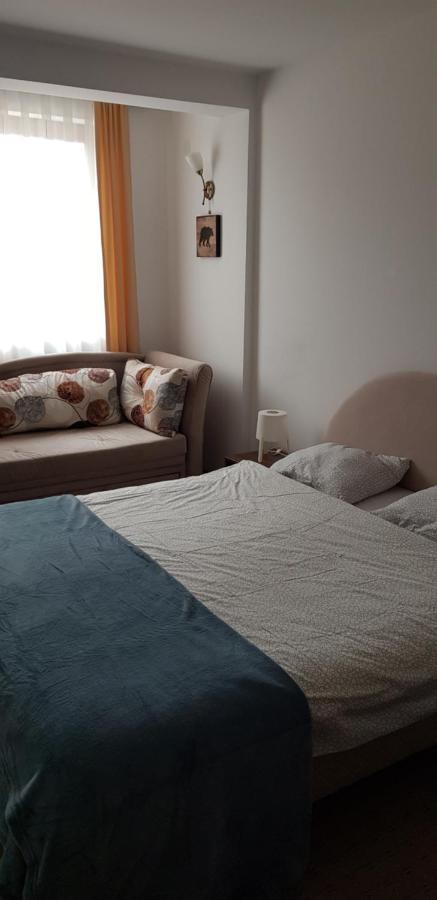 Dobricin Konak, Apartman 202 Kopaonik Buitenkant foto